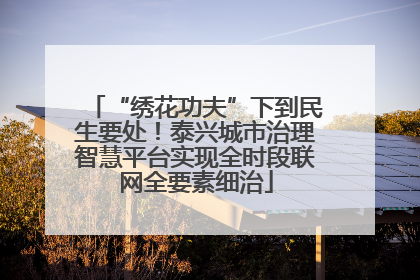 “绣花功夫”下到民生要处！泰兴城市治理智慧平台实现全时段联网全要素细治